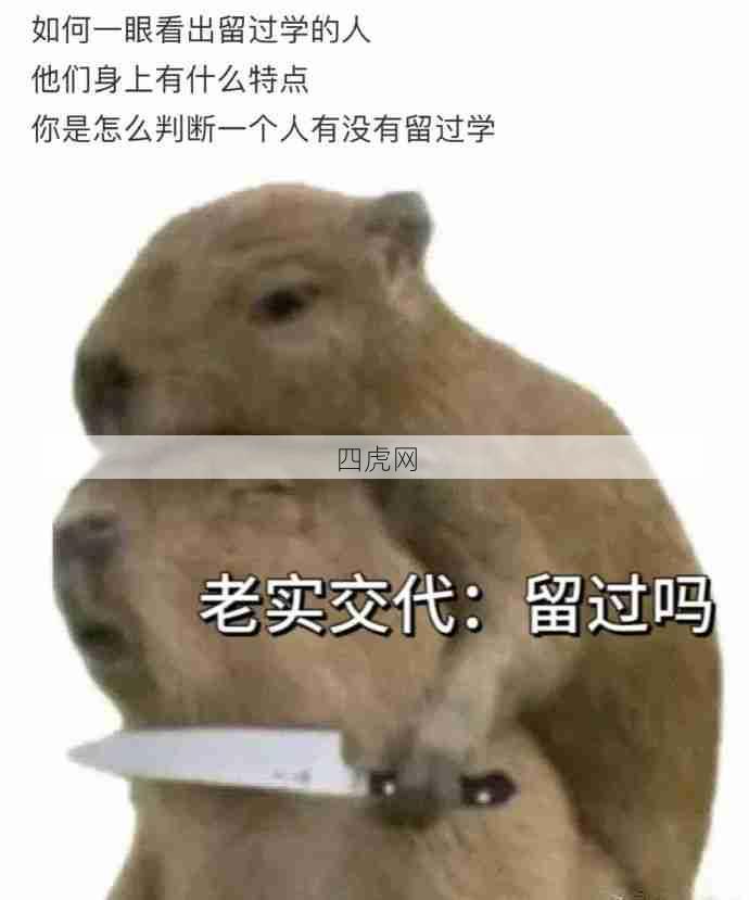 留学生太形象了！怎么每条都中哈哈哈哈
