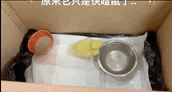 五步之内必有解药