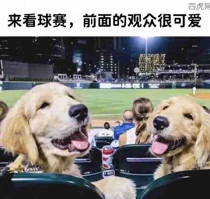 考试太难！考试坏，小狗好！