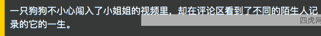 狗生都没想到这样被记录下来