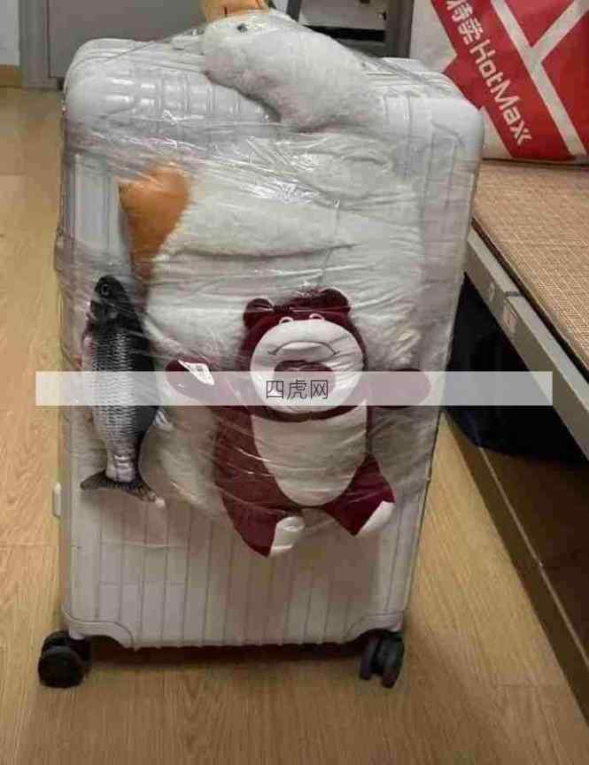 大家的陪读都好可爱呀！五花大绑！