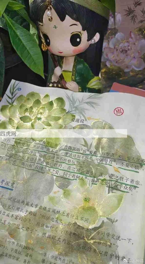 原来课本插画真的可以让文字活起来