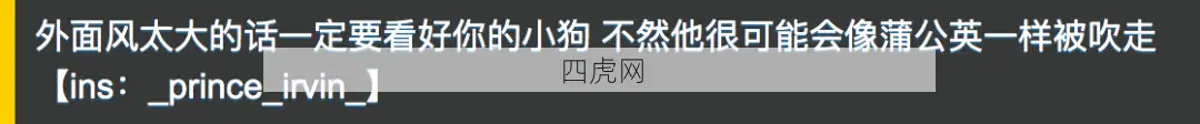 它为什么飘着啊？哈哈毛球！！！