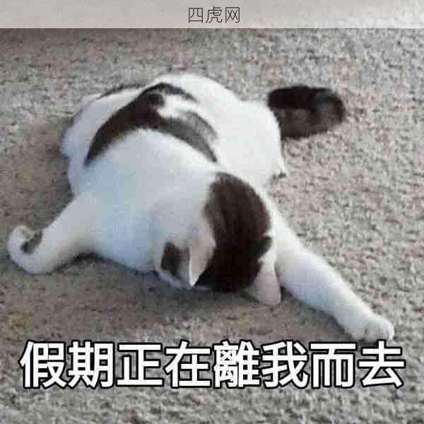 假期正离我而去！猫猫也不想上学！