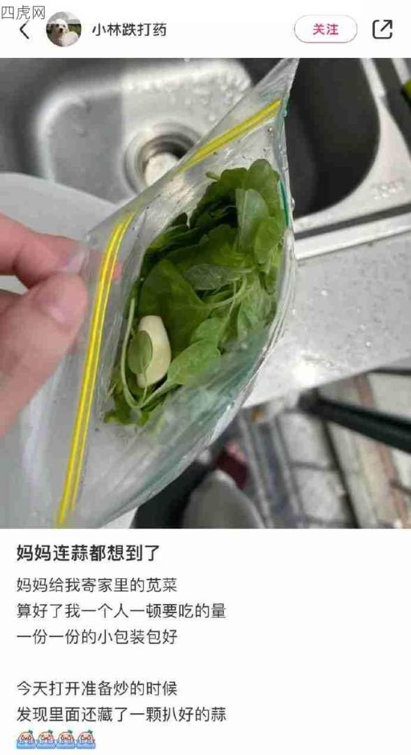 妈妈的爱细致到方方面面