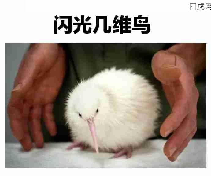 是闪光！这个爆闪率太高了！