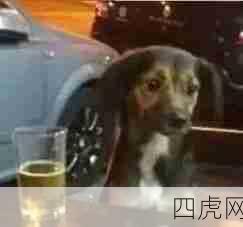 糊糊小狗！做饭的是我