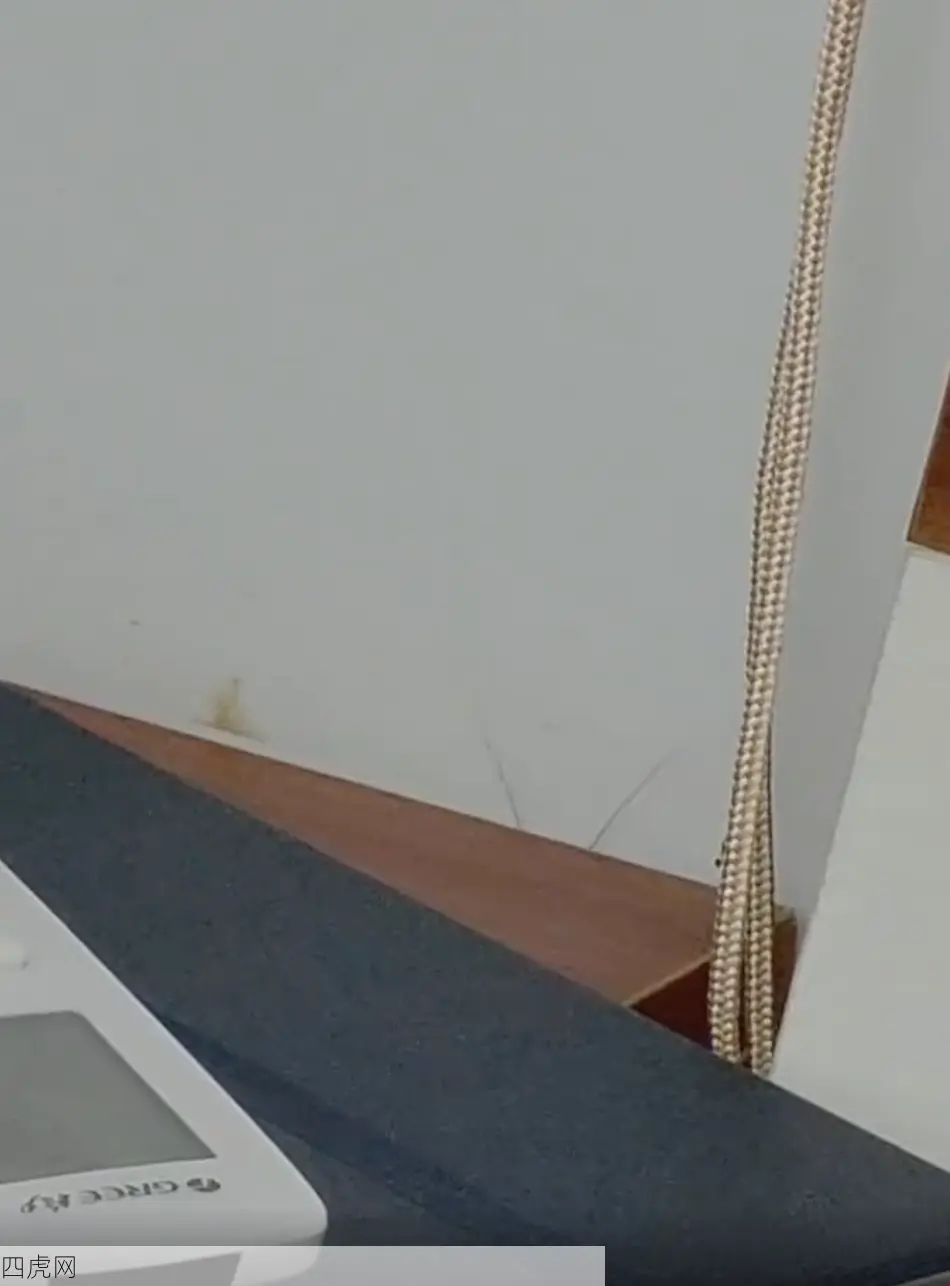 广东人的至暗时刻 ​​​