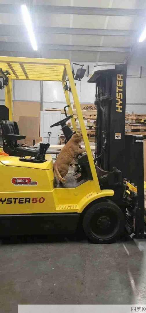 打工喵喵生活不易！！